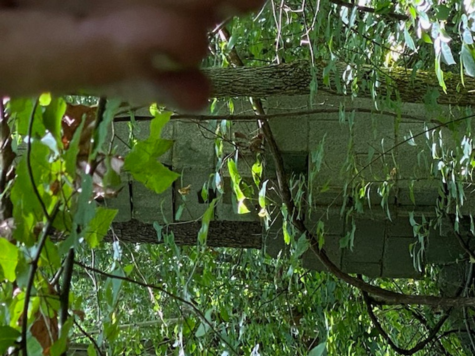 Image for Real Estate Auction Axton & Cascade, VA - Owned by Fitts family