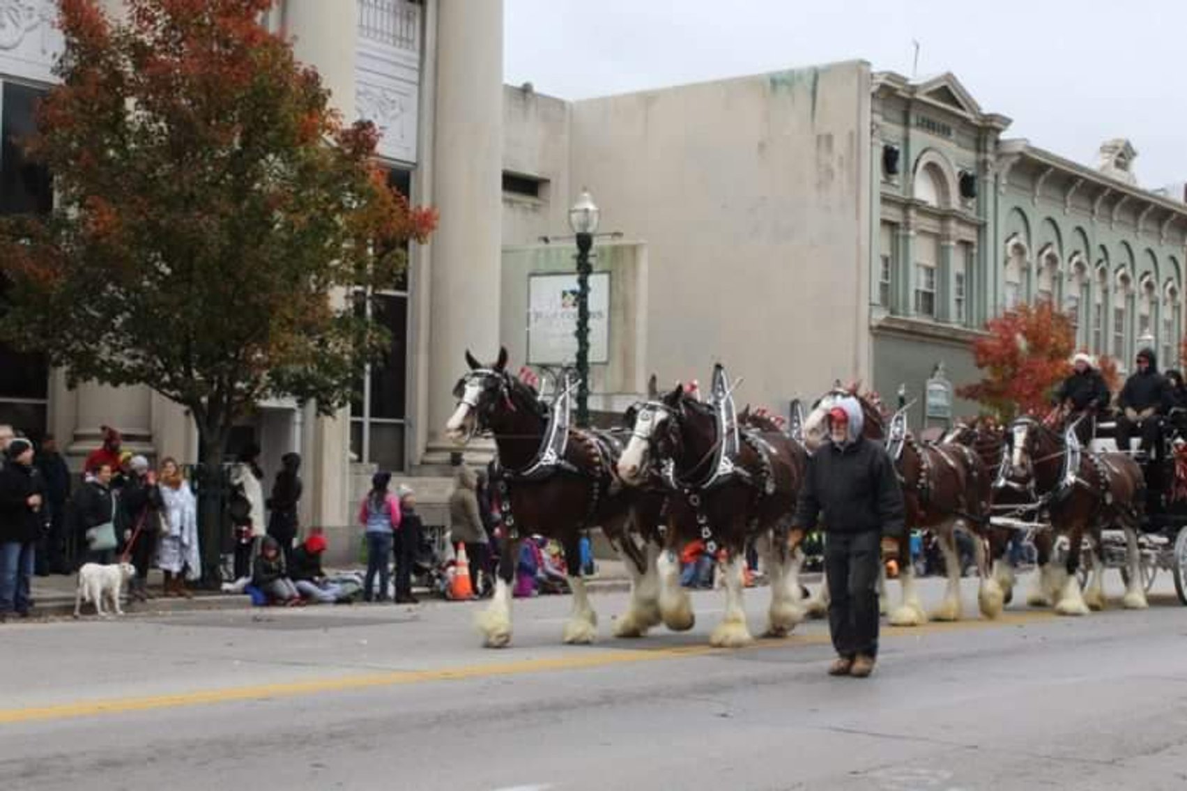 Image for BG Holiday Parade Parklet Experience