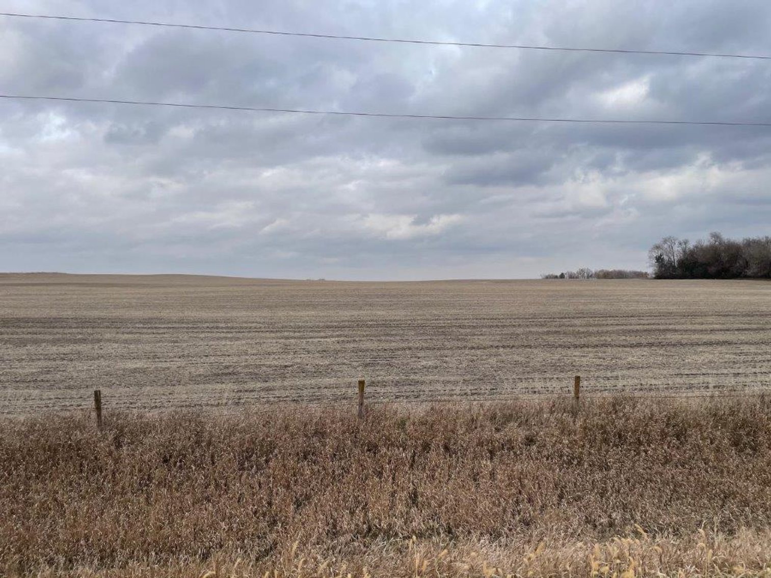Image for Sac County, IA Land & Acreage Auction!