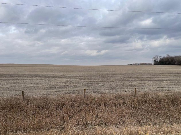 Image for Sac County, IA Land & Acreage Auction!