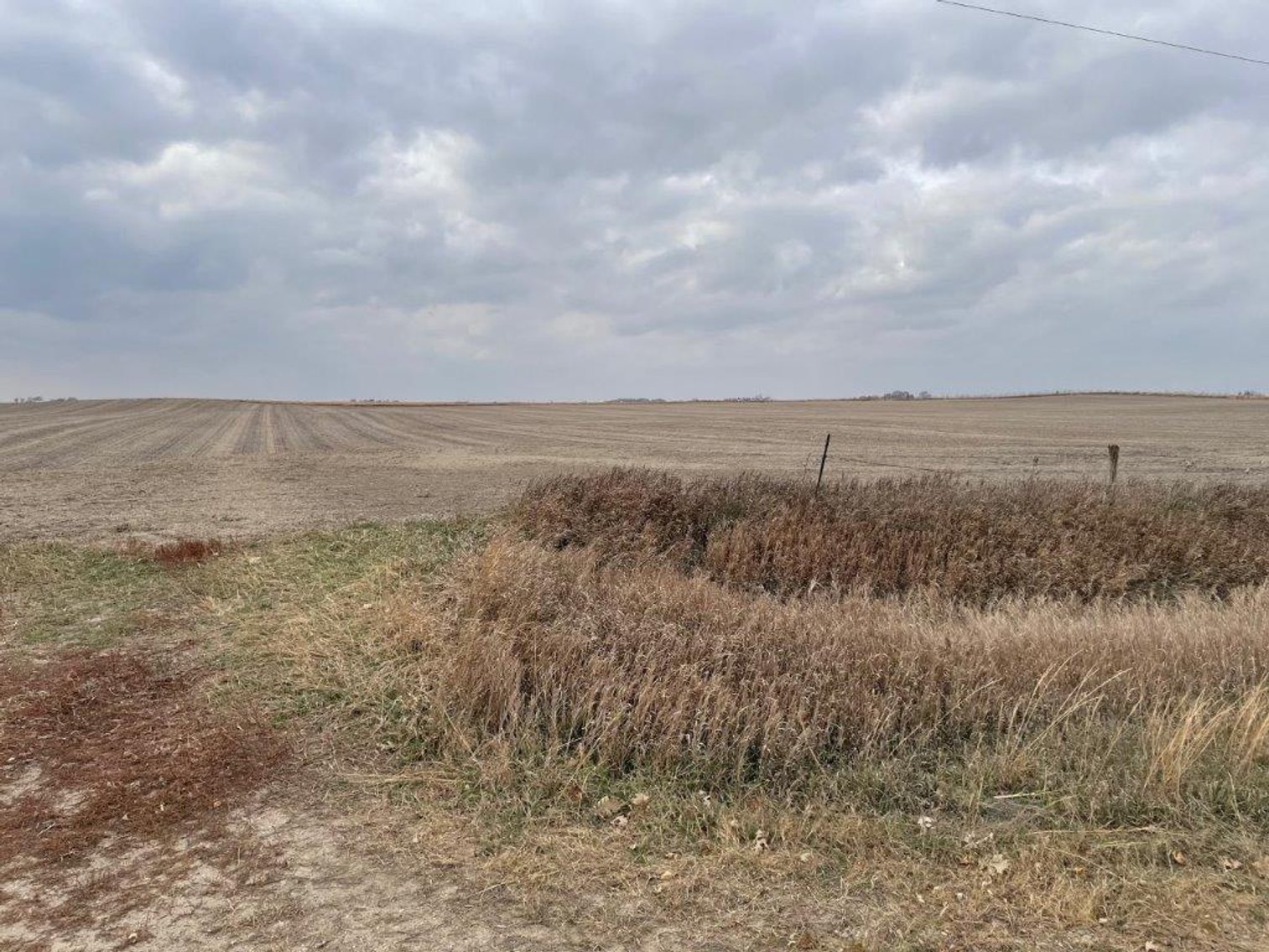 Image for Sac County, IA Land & Acreage Auction!