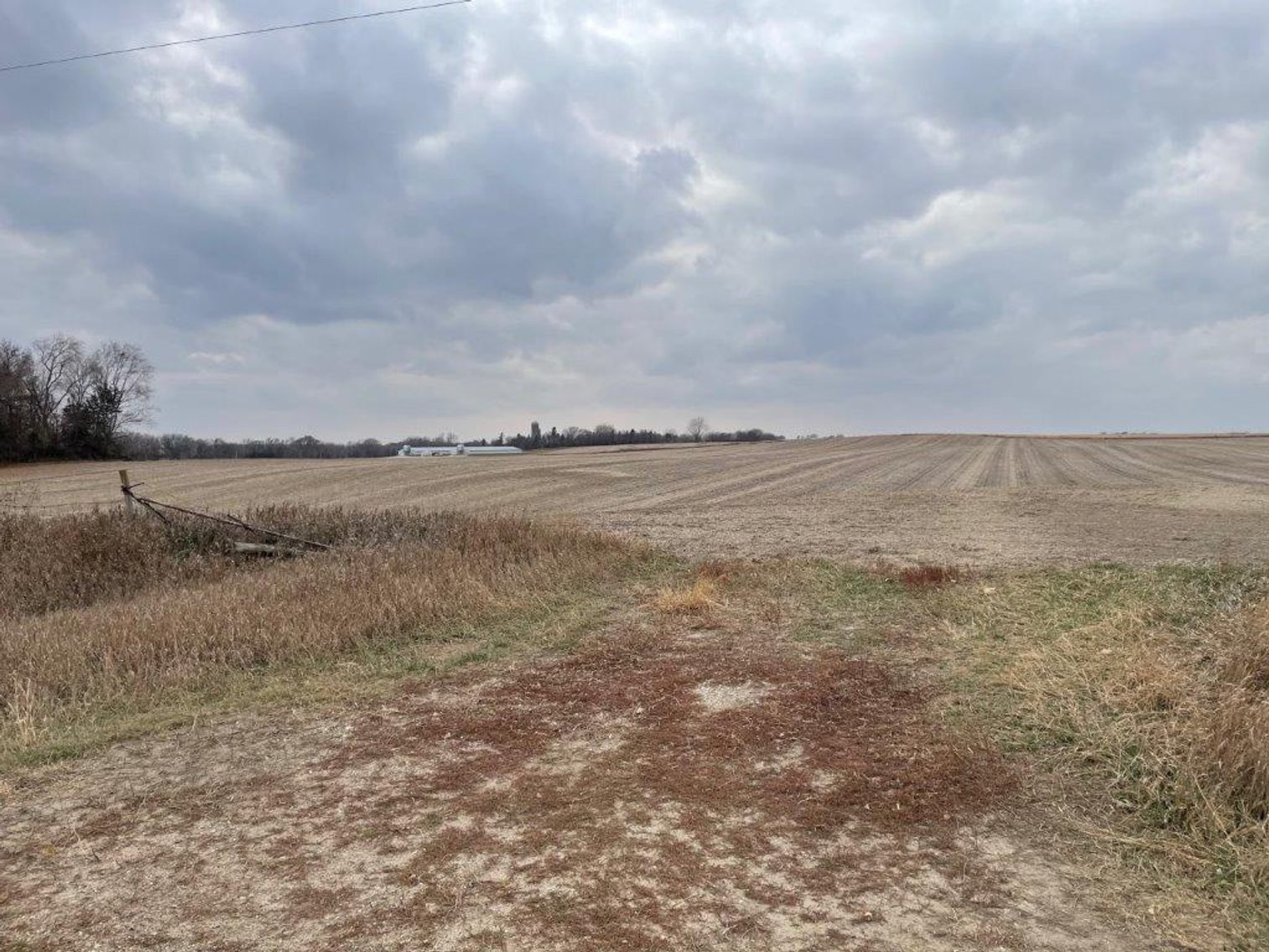 Image for Sac County, IA Land & Acreage Auction!