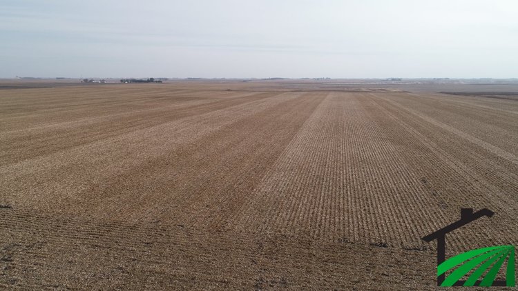 Image for Calhoun County Land Auction!