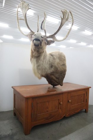 Image for Cold Springs Gallery