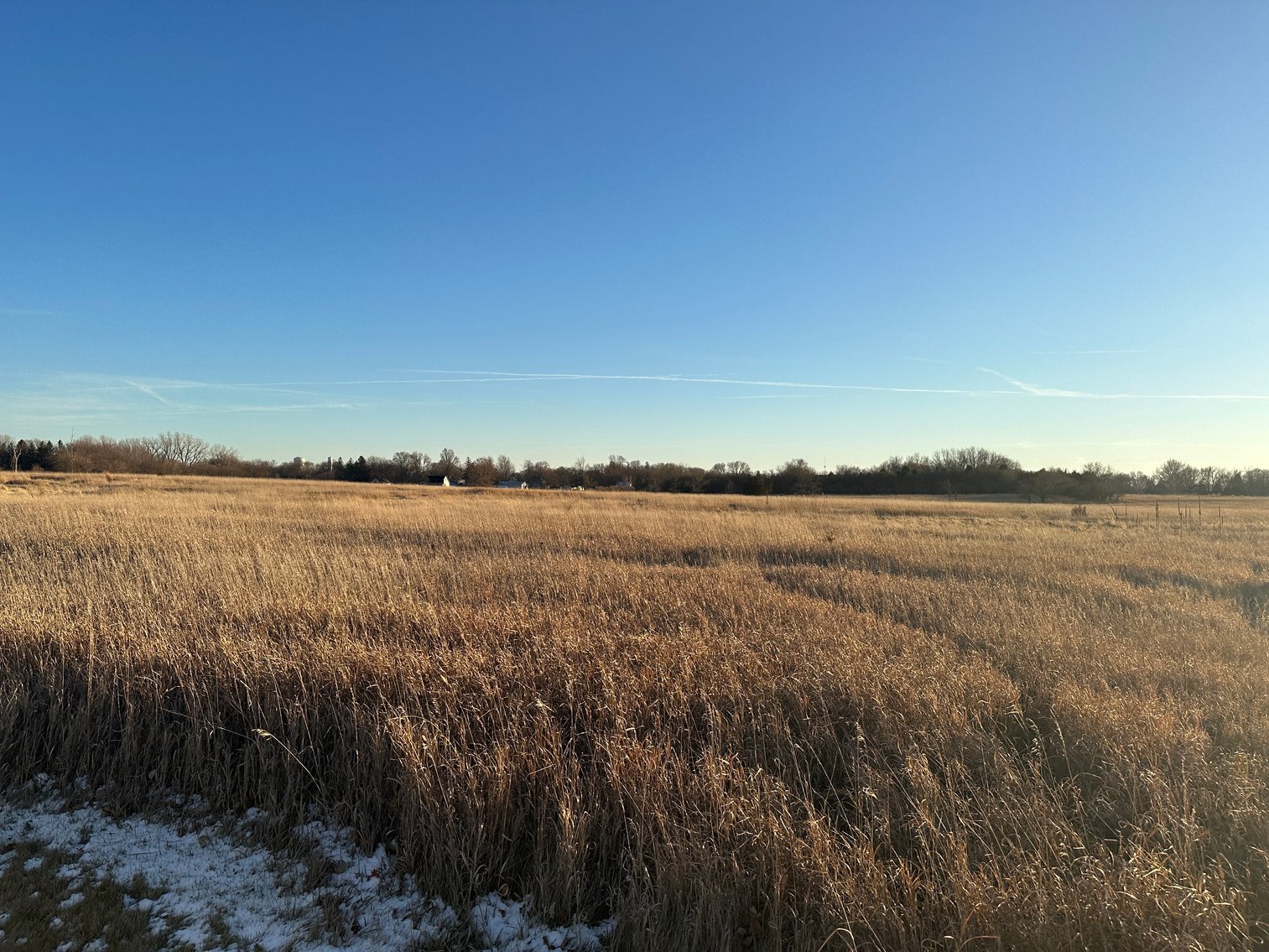 Image for Calhoun County Land Auction