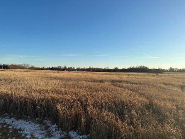 Image for Calhoun County Land Auction