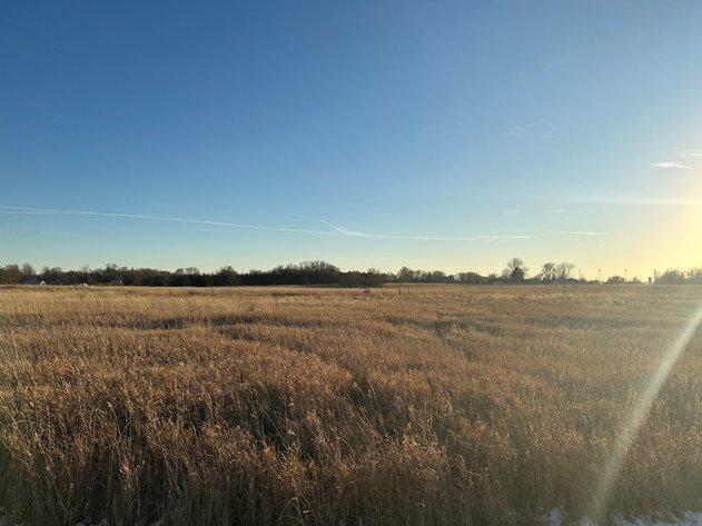 Image for Calhoun County Land Auction