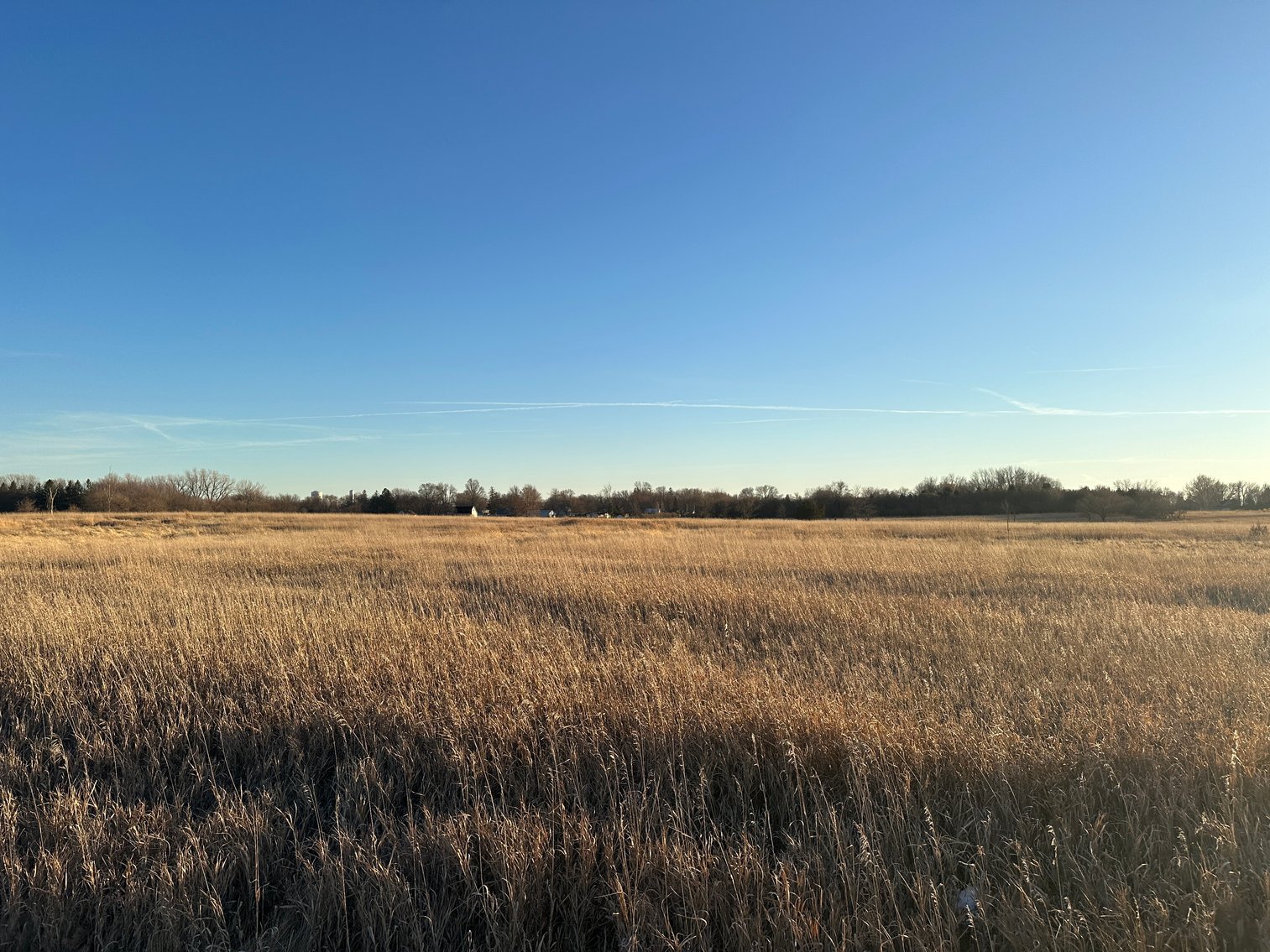 Image for Calhoun County Land Auction