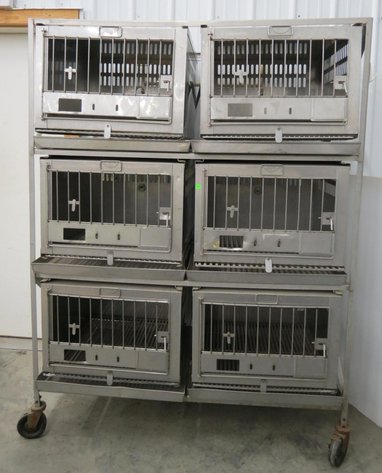 Image for Cold Springs Gallery #2004