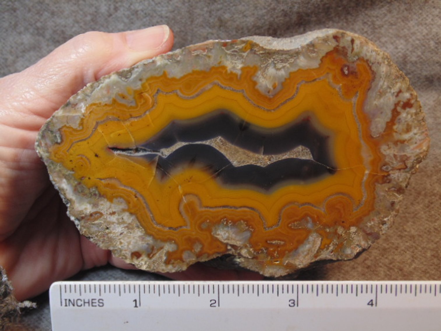 Image for Lapidary: Agates, Fossils, Equipment & More