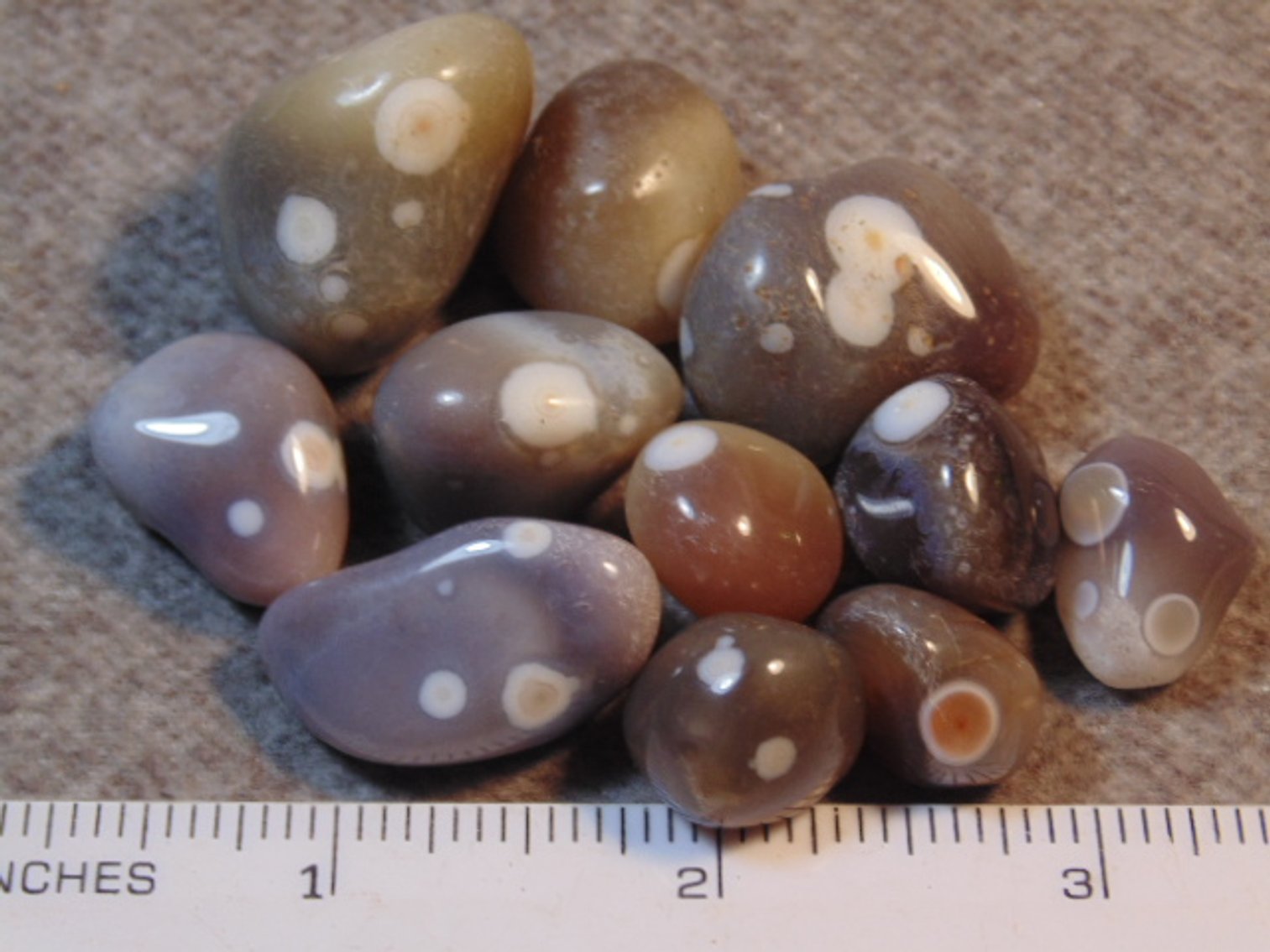 Image for Lapidary: Agates, Fossils, Equipment & More