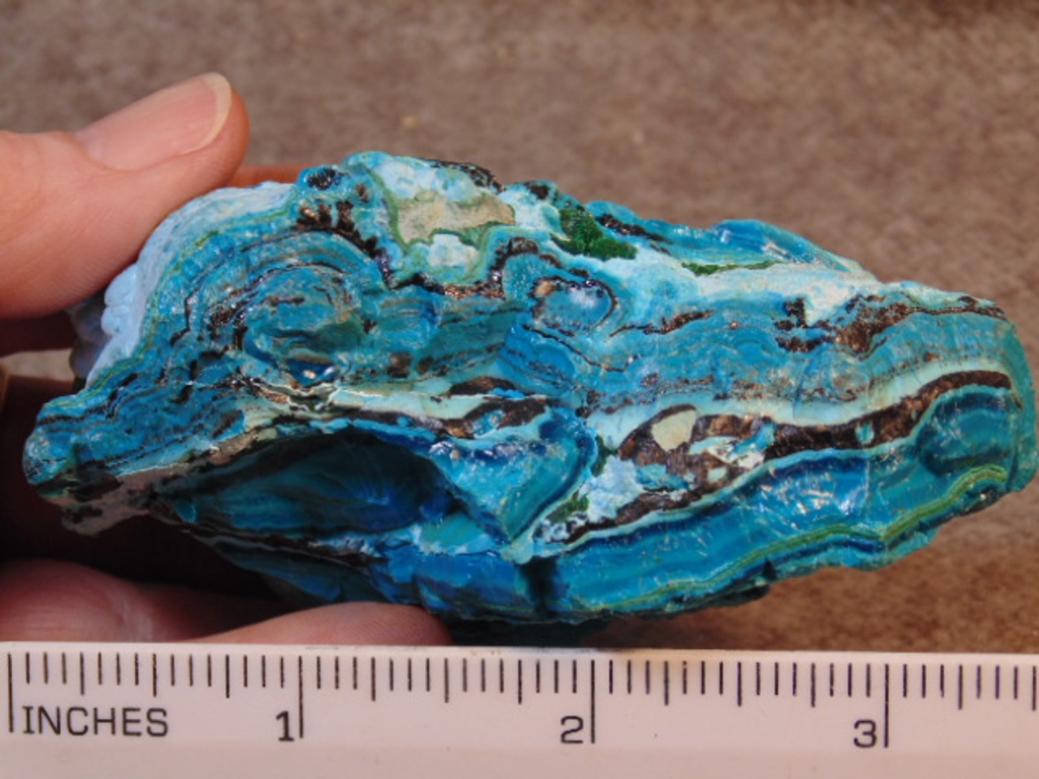 Image for Lapidary: Agates, Fossils, Equipment & More