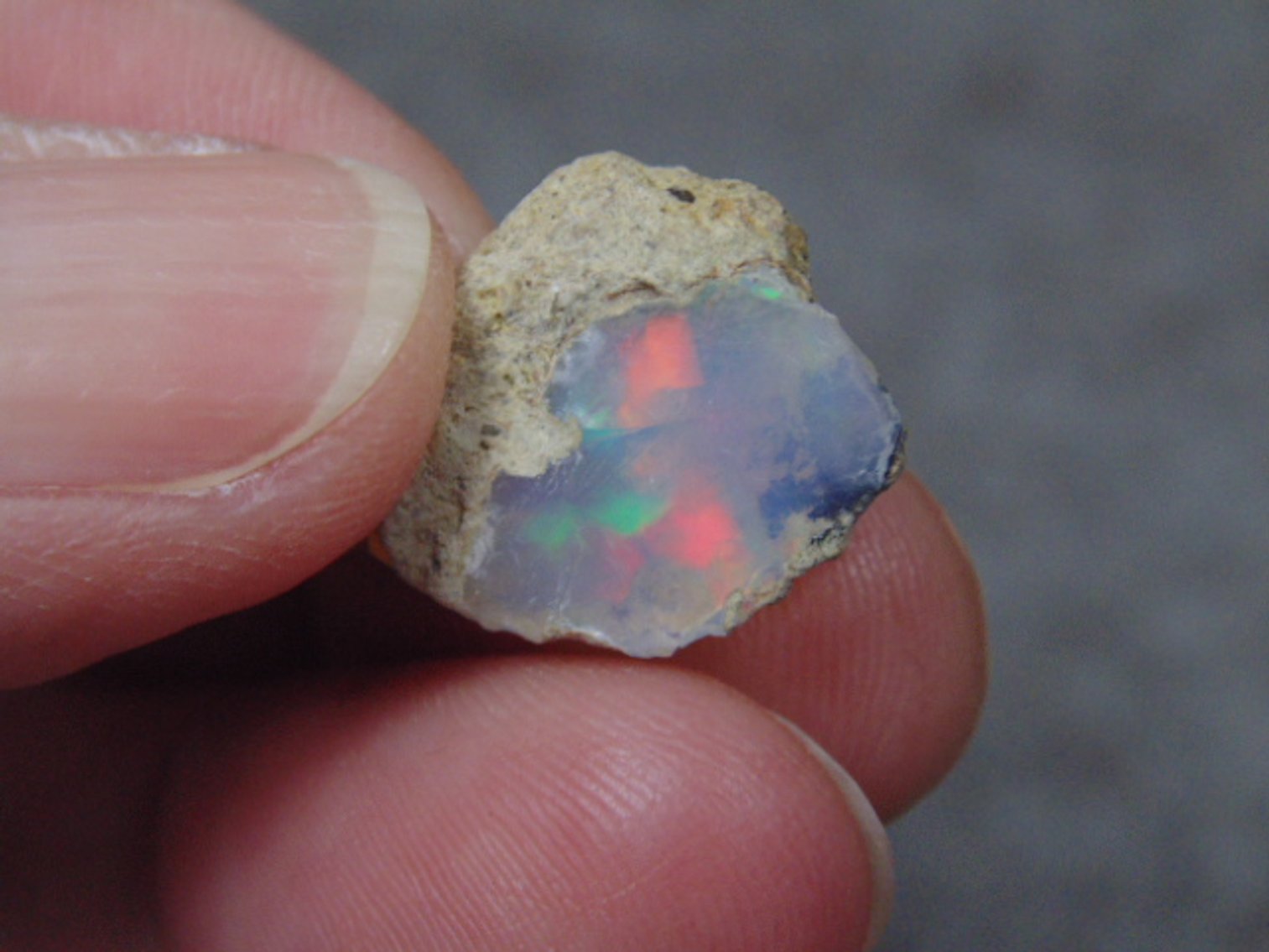 Image for Lapidary: Agates, Fossils, Equipment & More