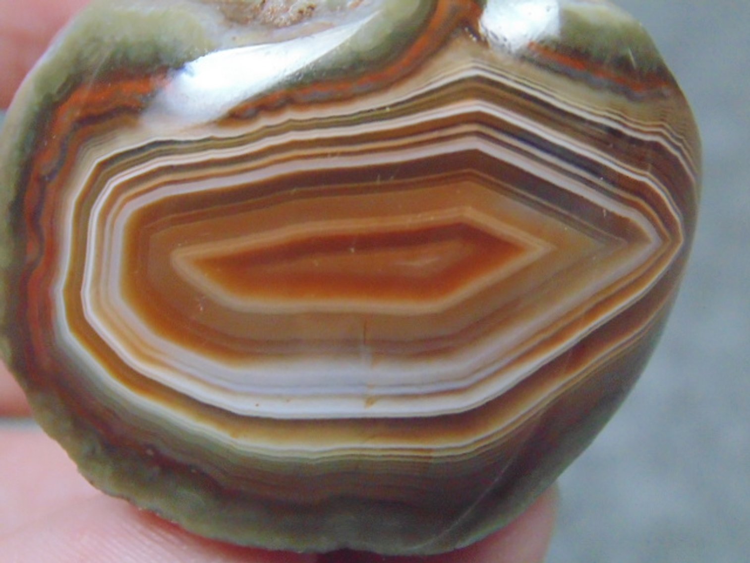 Image for Lapidary: Agates, Fossils, Equipment & More