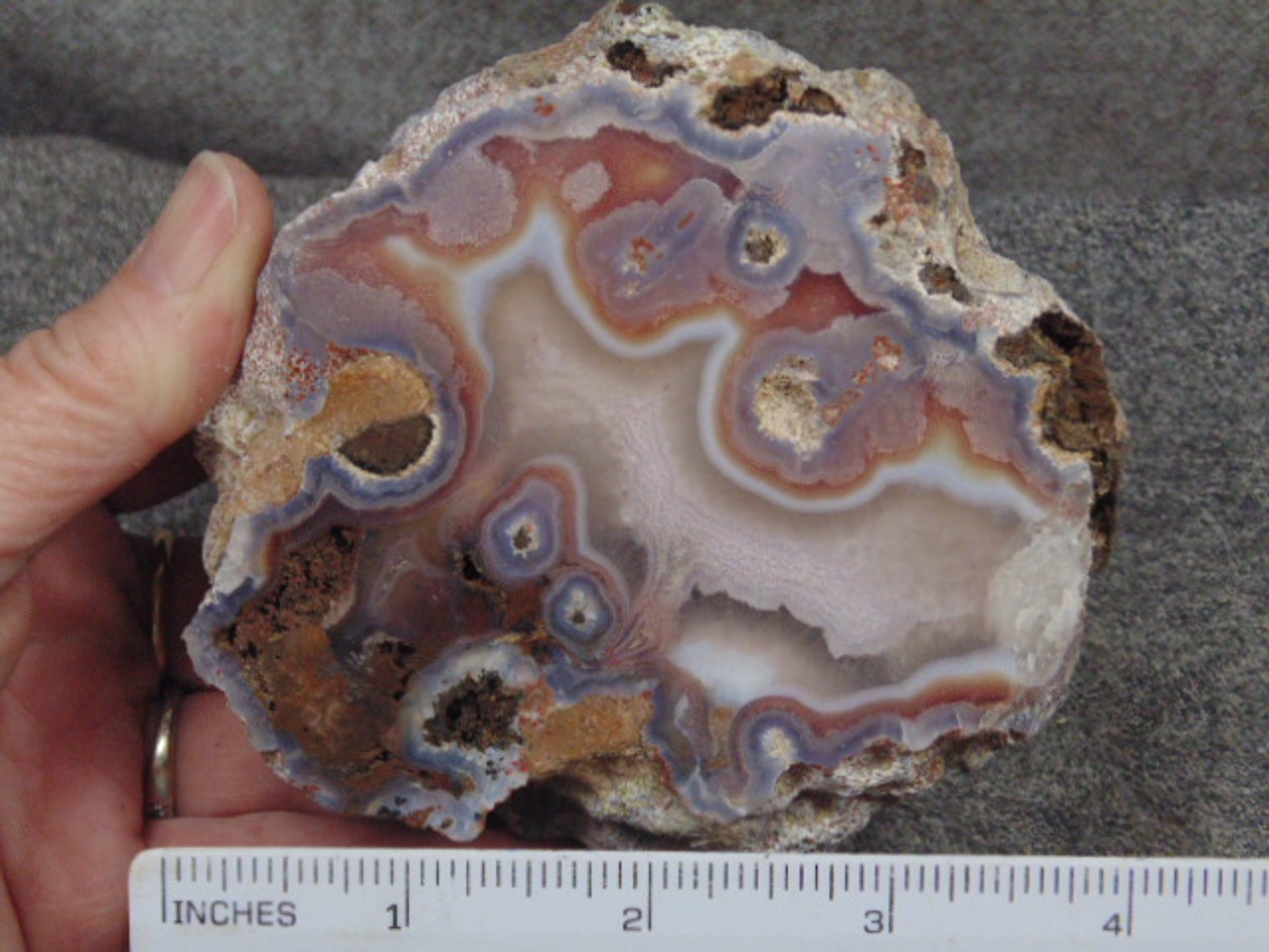 Image for Lapidary: Agates, Fossils, Equipment & More