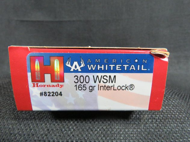 Image for Ammunition & Accessories