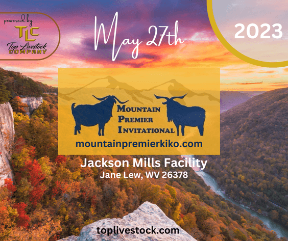 Image for 2023 Mountain Premier Invitational Kiko Sale