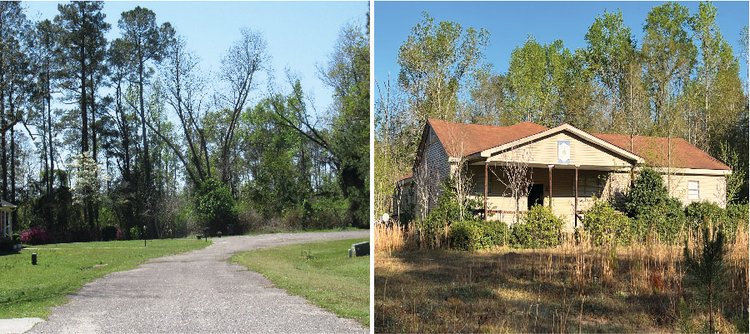 Image for Absolute Auctions of North Carolina & South Carolina Properties