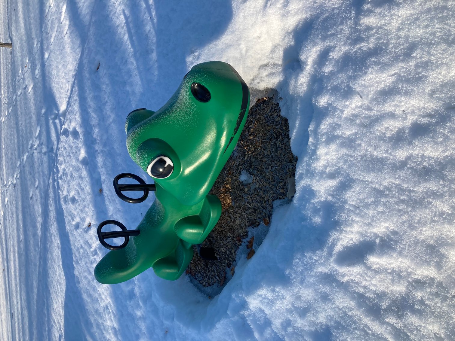 Image for Complete Playground Structure (Sunny Acres Park)