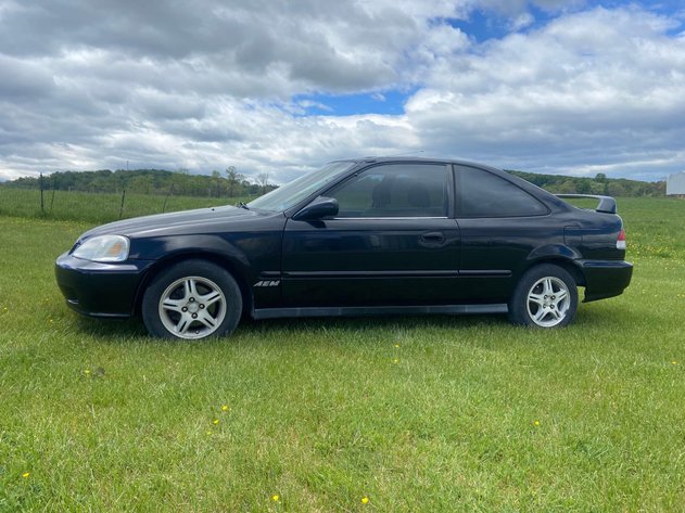 Image for Tinkling Springs Gallery #119