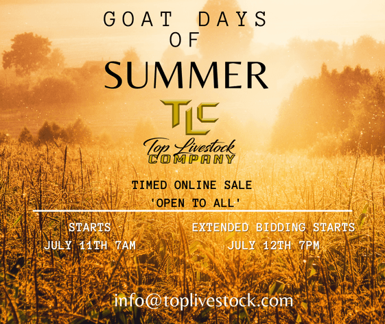 Image for 2023 Goat Days of Summer
