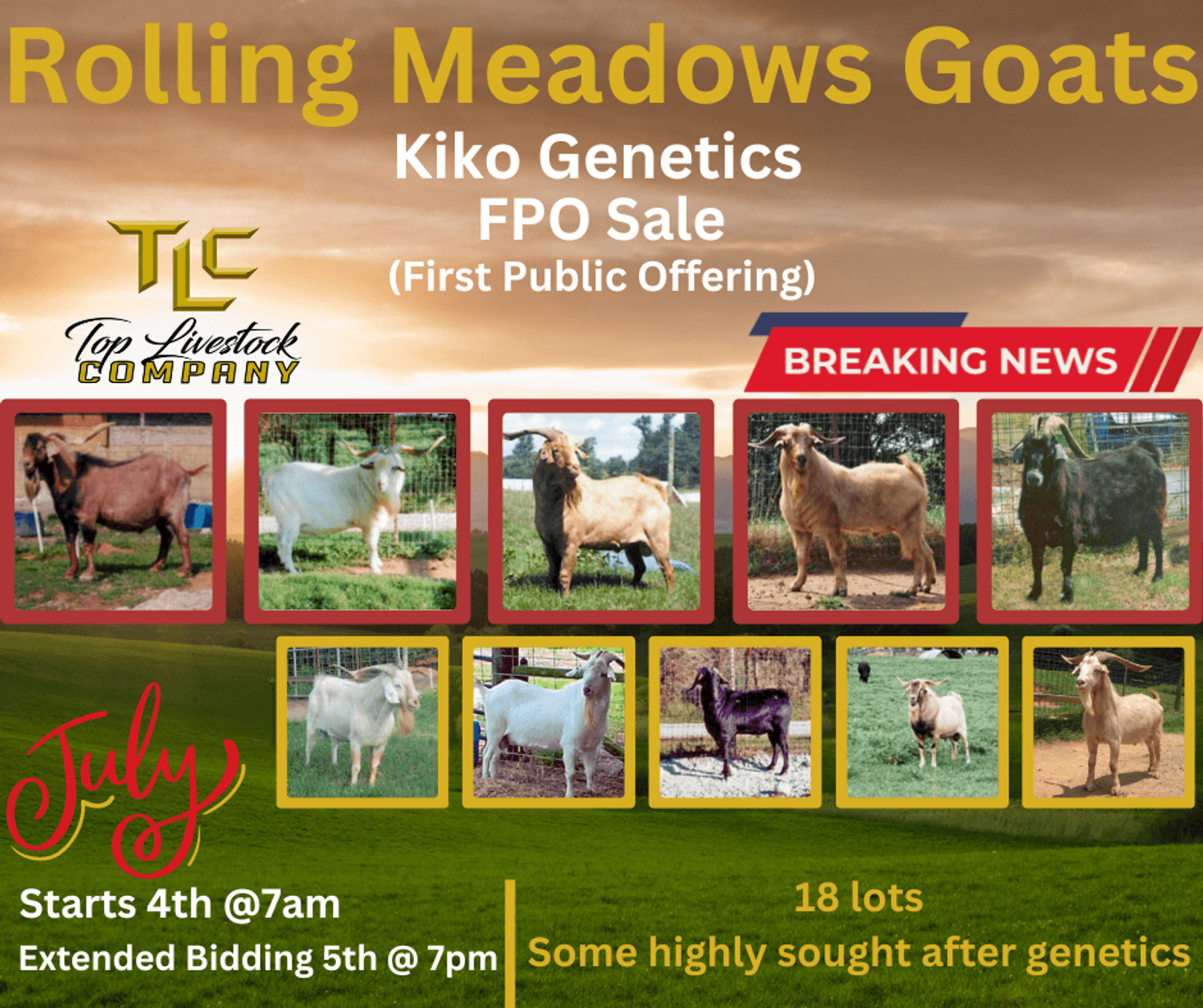 Image for Rolling Meadows Goat- FPO Sale