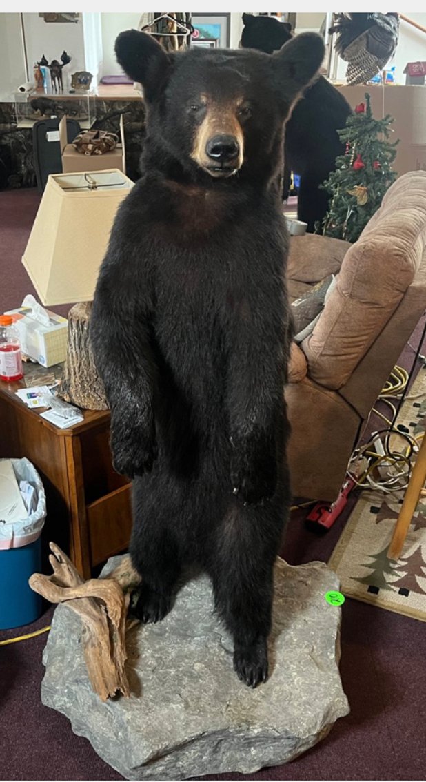 Image for Cygnet Ohio Living Estate Auctions