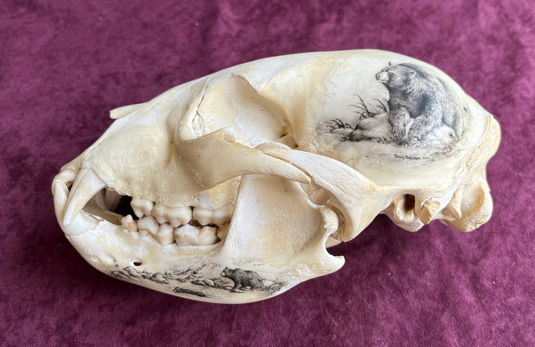 Image for Natural History Auction: Fossils, Minerals, Crystals, Gems, Biologic Specimens