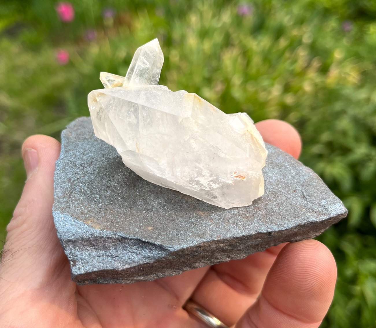 Image for Natural History Auction: Fossils, Minerals, Crystals, Gems, Biologic Specimens