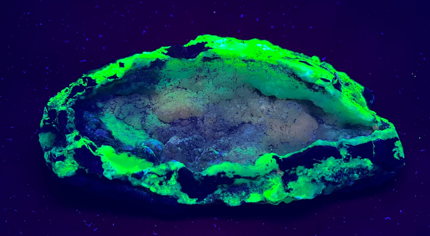 Image for Natural History Auction: Fossils, Minerals, Crystals, Gems, Biologic Specimens