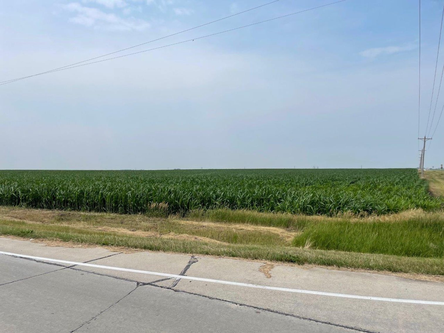 Image for Calhoun County, IA Land Auction!