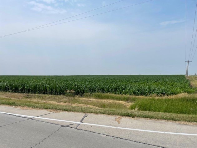 Image for Calhoun County, IA Land Auction!