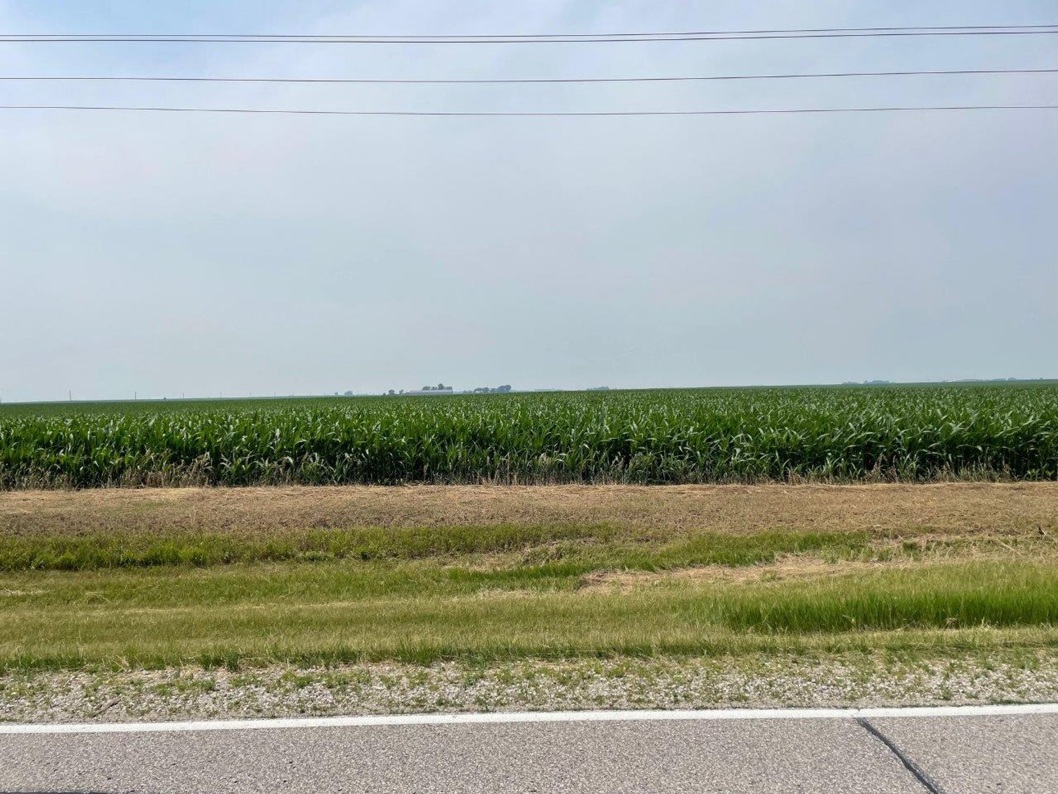 Image for Calhoun County, IA Land Auction!