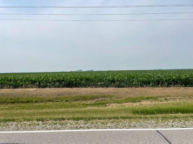 Image for Calhoun County, IA Land Auction!