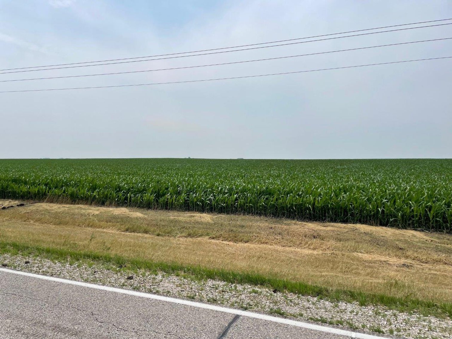 Image for Calhoun County, IA Land Auction!