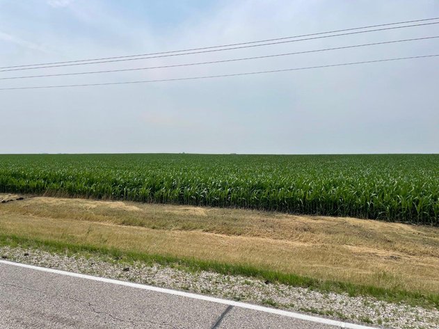 Image for Calhoun County, IA Land Auction!