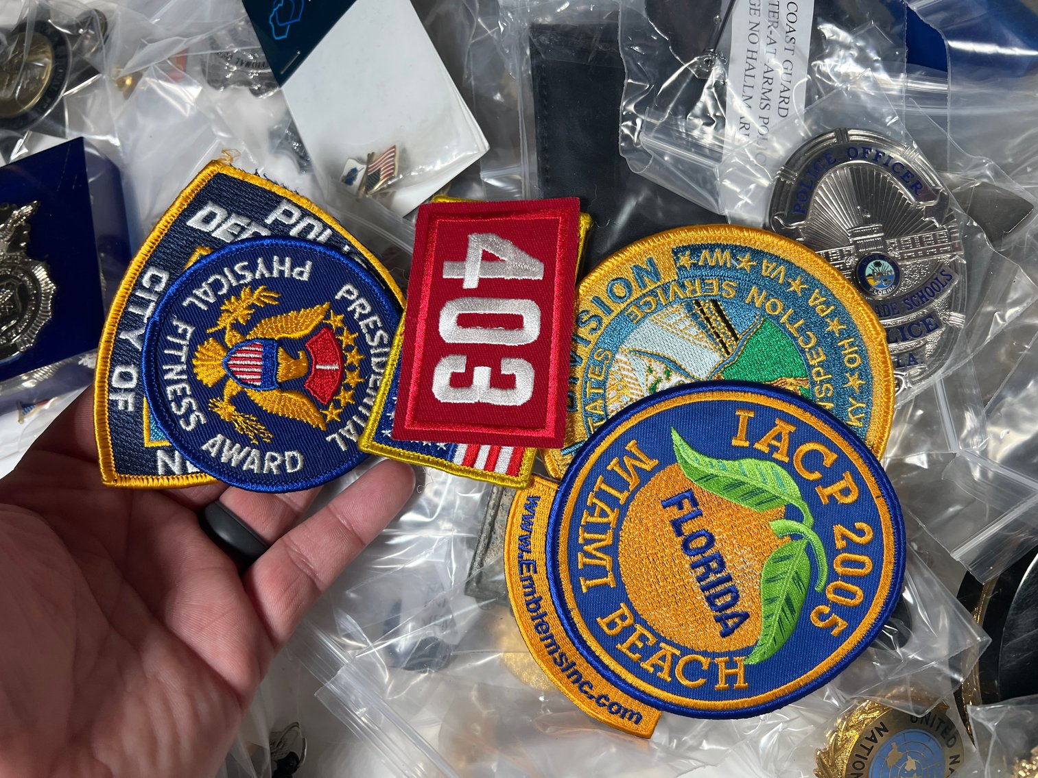 Image for LAW BAGES, PINS, HISTORIC RELICS, ARMS & MORE