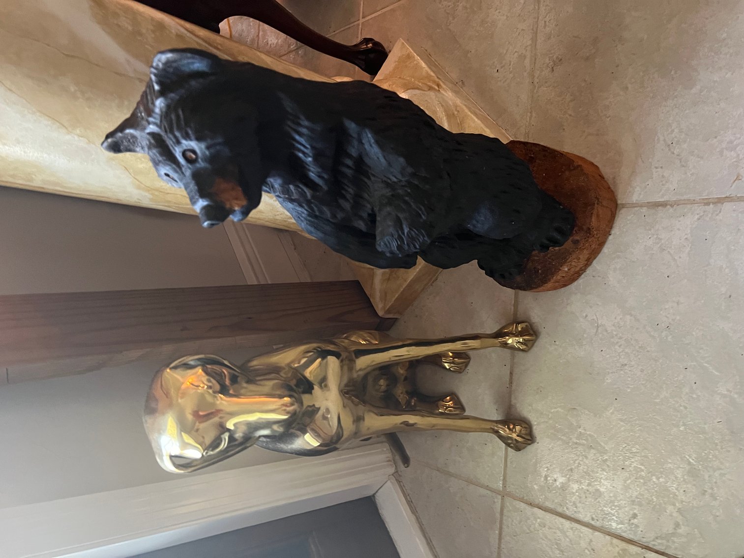 Image for MARCO ISLAND ESTATE - ABSOLUTE AUCTION