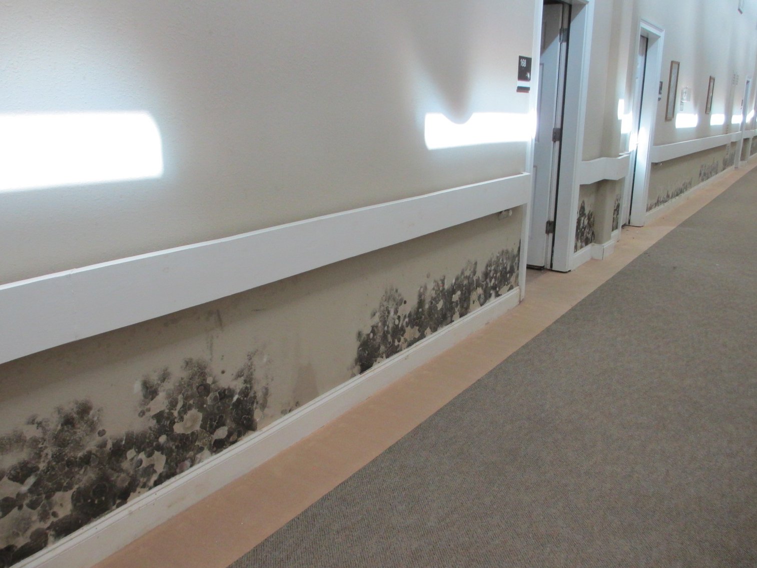 Image for Buchanan, GA: 26,600±SF Former Assisted Living Facility on 10.8± Acres