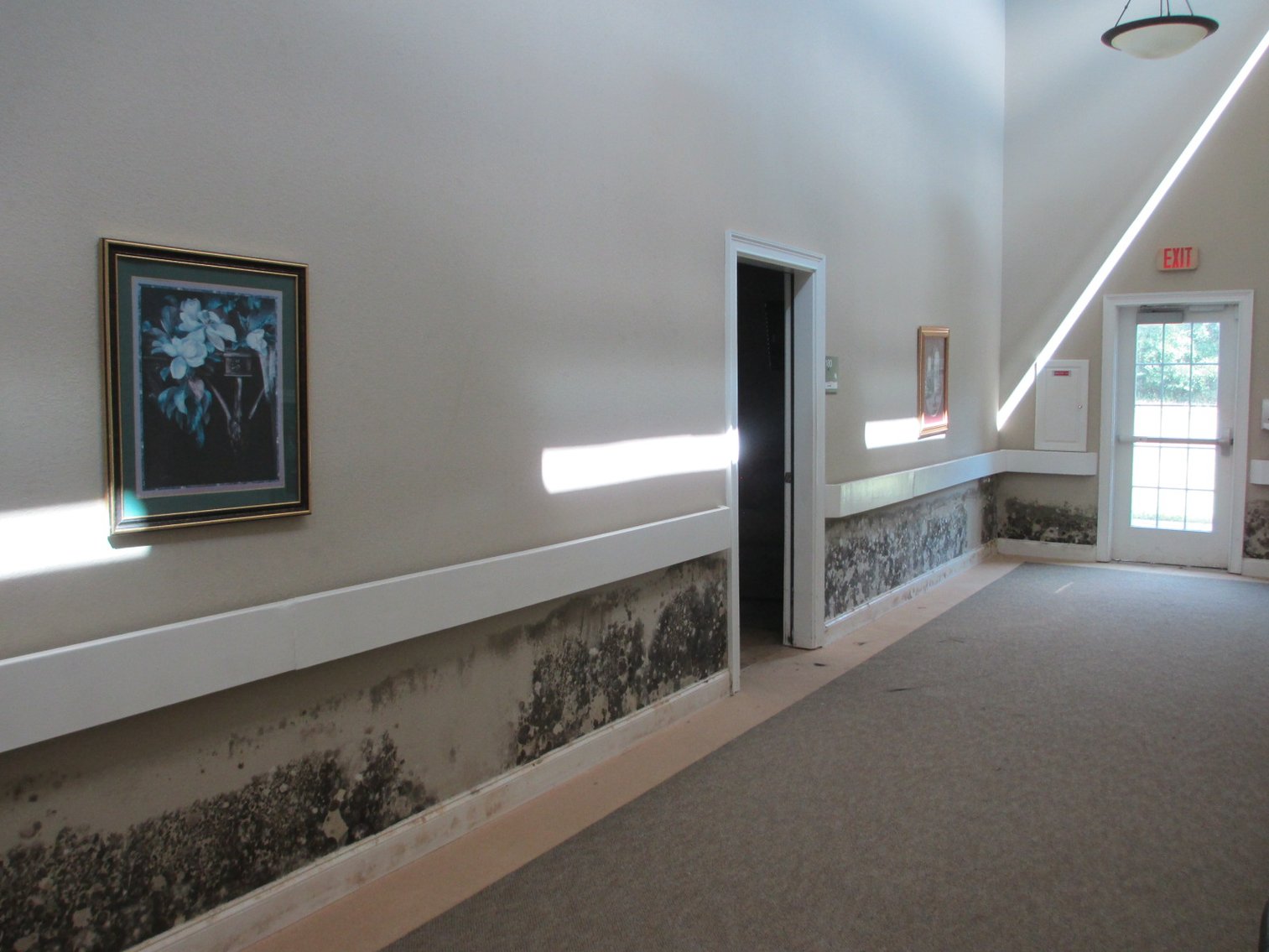 Image for Buchanan, GA: 26,600±SF Former Assisted Living Facility on 10.8± Acres