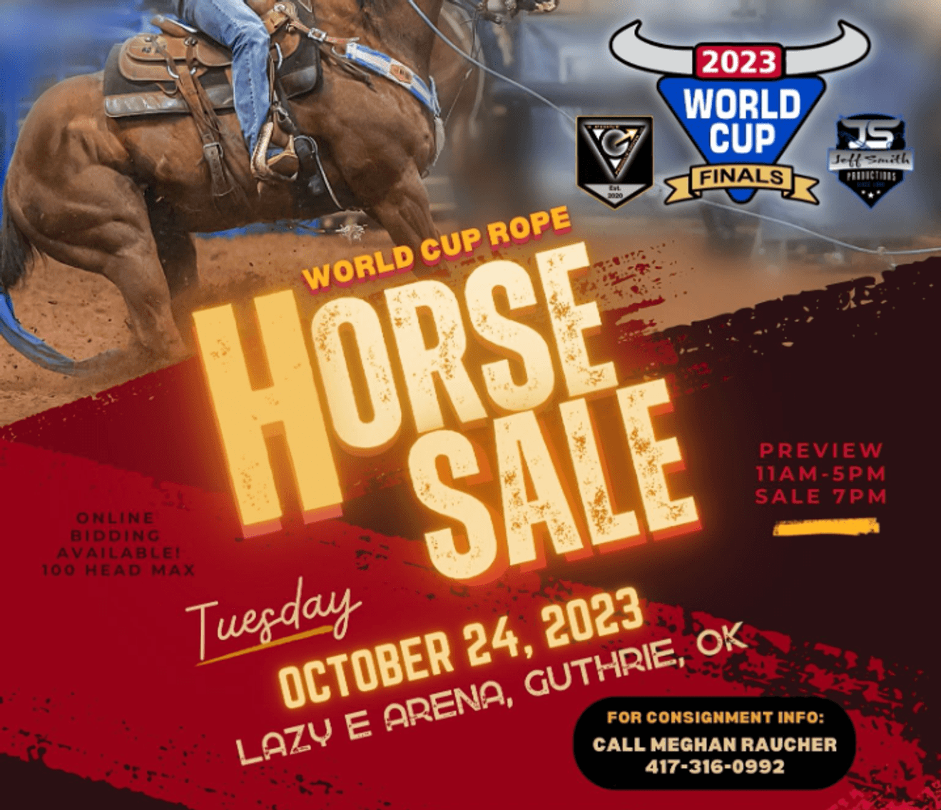 Image for 2023 World Cup Rope Horse Sale