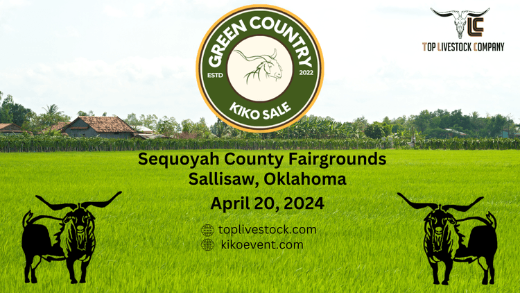 Image for 2024 Green Country Kiko Invitational Sale