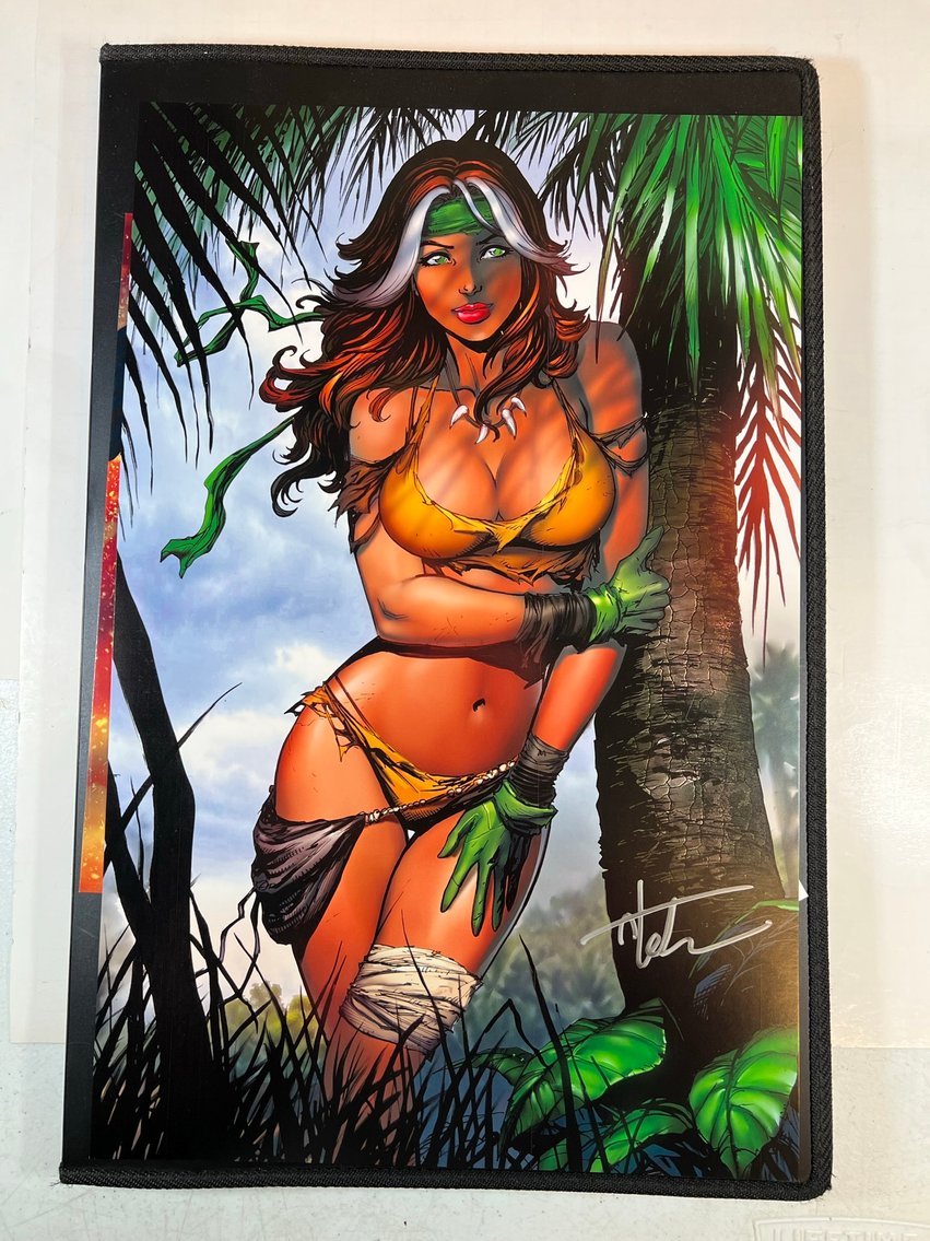 Image for COMICS, ART PRINTS, SIGNATURES & MORE