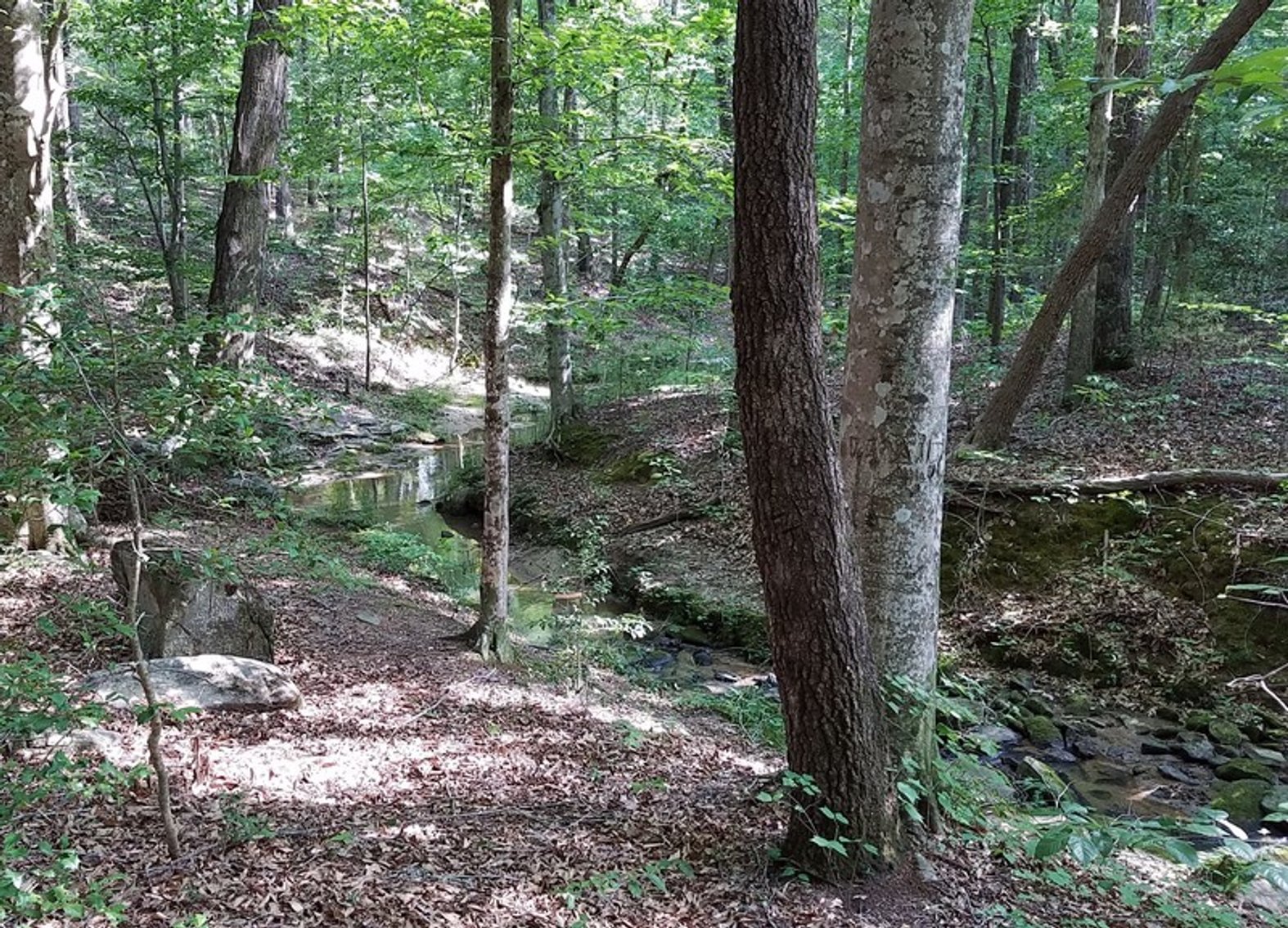 Image for 57+/- Acres just off Fairview Rd. in Fountain Inn, SC