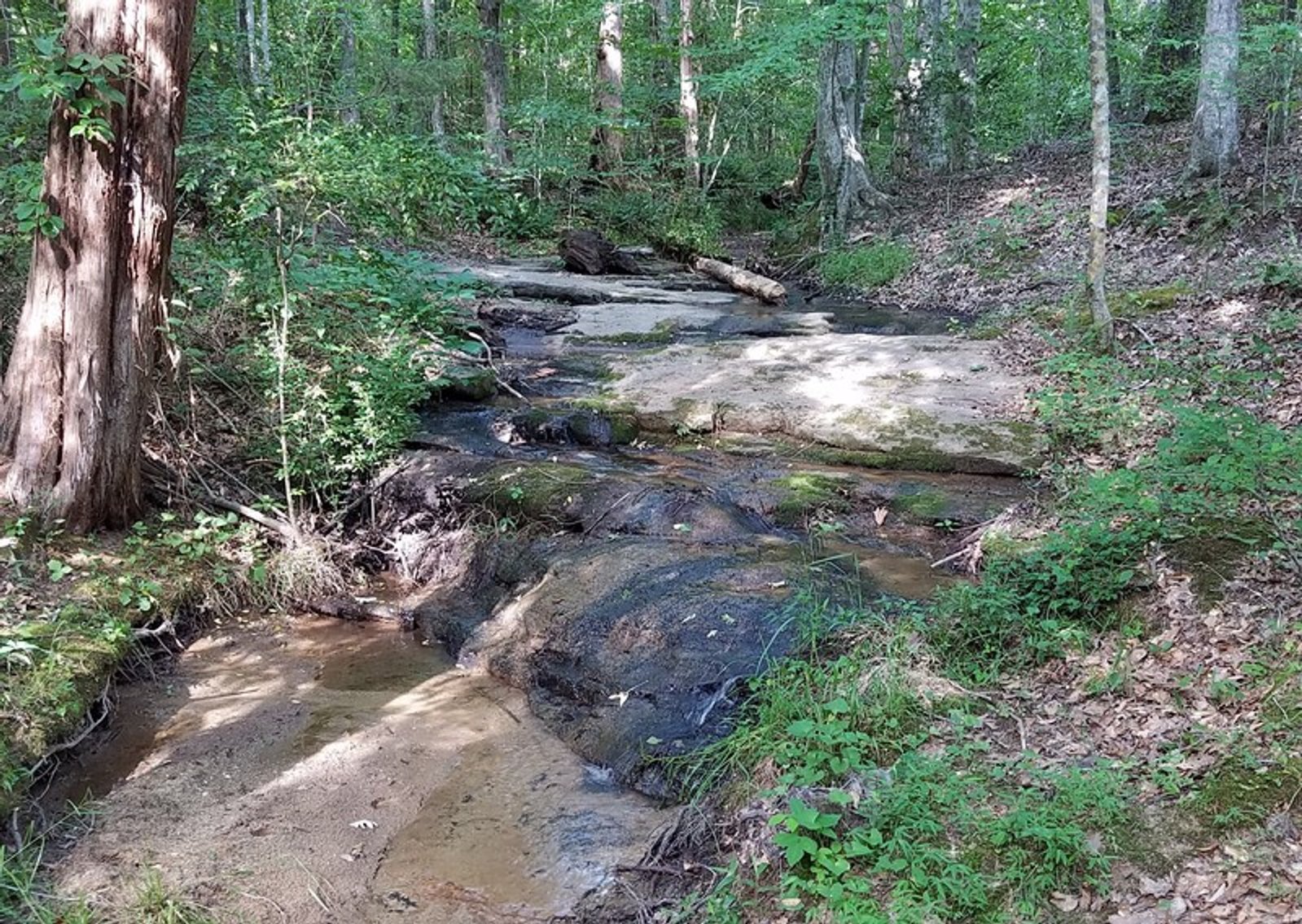 Image for 57+/- Acres just off Fairview Rd. in Fountain Inn, SC