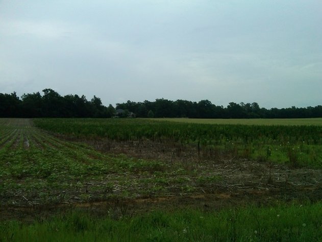 Image for Bank Owned 4.12± Acres in Dillon, SC (Dillon County)
