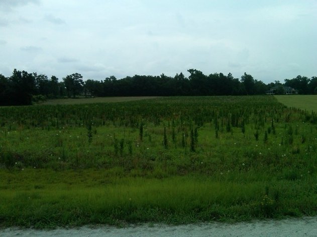 Image for Bank Owned 4.12± Acres in Dillon, SC (Dillon County)