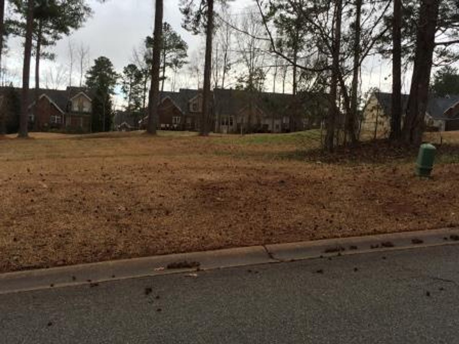 Image for #263: 155 Hampton Way in Hampton Glen at Barrington Hall Subdivision (Bibb Co.)