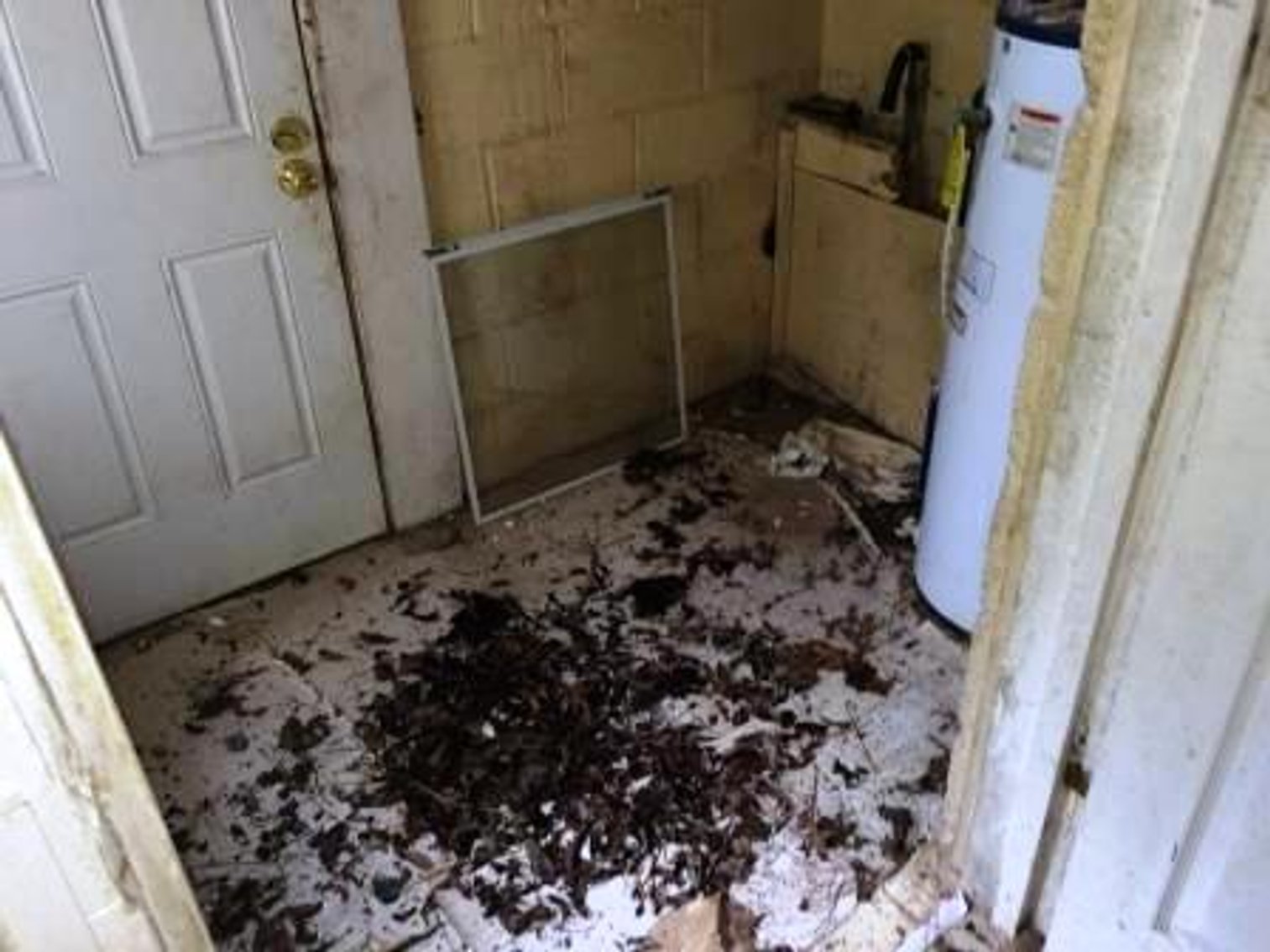 Image for 1,446±SF Home with 3BR/1BA  in Macon, GA ( Bibb Co.)