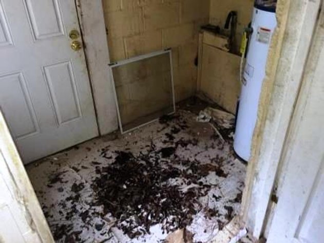 Image for 1,446±SF Home with 3BR/1BA  in Macon, GA ( Bibb Co.)